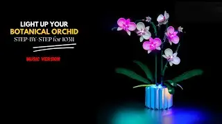 LEGO 10311 Orchid Light Kit Instructions (Music Version) | Bright My Bricks