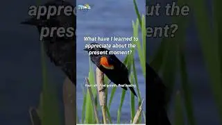 Appreciating the Present Moment&mdash;What Have You Learned to Value?  #motivation #innerpeace #quotes