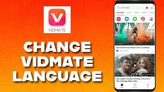 How to Change Language in Vidmate 2025?