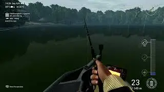 Red Tail Barracuda at the Amazonian Maze   Brazil   Fishing Planet