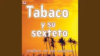 Mi Celda