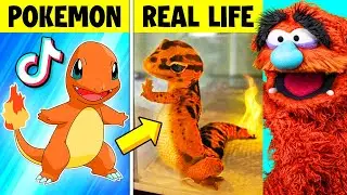 Pok&eacute;mon That ACTUALLY Exist In REAL LIFE (FUNNY TikTok!)