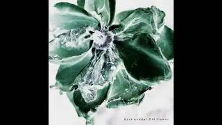 Kosh Anade - Old Flower