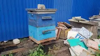 Отбираю медок на стацыонаре.