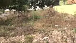 1200sqft Land for Sale @ 57.60L in Bellahalli, Bangalore Refind:16213