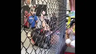 GRIFFONRAWL Brazilian Jiu-Jitsu Smoker | 9/10/22