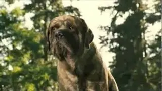 Marmaduke  Thats What I Like About You