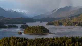 Tofino Resort + Marina Highlights