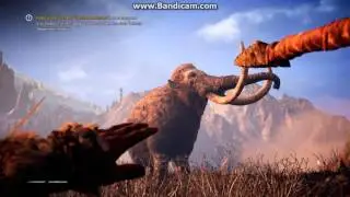 FCPrimal 2016 03 01 21 06 12 346