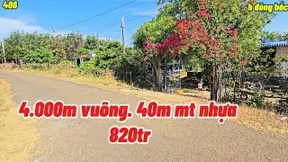 Cô Bán đất trả nợ ngân hàng. Mảnh đất đẹp  ngay khu dân cư. 40m nhựa. 4 sào trồng full tràm. 820tr