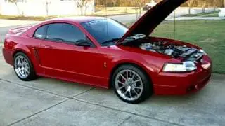 1999 Cobra Supercharged Vortech V-2 SC
