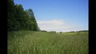 For Sale | 44.05 Acres in Mulmur | Dufferin County | David Visentin