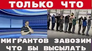 МИГРАНТ устроил РАЛЛИ НА КАМАЗЕ результат УЖАСЕН