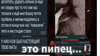 жалко квадроберов... (Alan live)