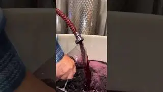 Last year's cellar work moments🤗🍇🎥@vignalivaras.vini #wineinspires #wine #winecellar #winemoment