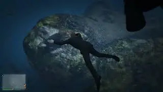 GTA 5 ONLINE Stuck