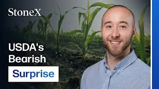USDA Shocks Corn Market: Breaking Down Monday's Bearish Surprise