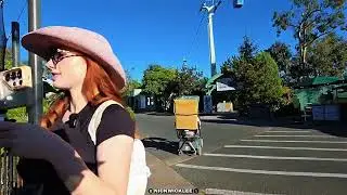 NickWickLee & Amouranth Visit San Diego Zoo!