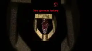 Fire Sprinkler Testing | Damia Global Services Private Limited