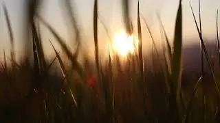 HD Sunrise video for editing