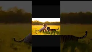 To cutiee playing #cuteanimals #cutecub #shorts #shortsvideo