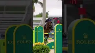 There divine 💗//#horse #equestrianvibes #songviral #blowup #edit