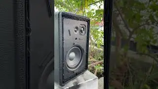 marshall tufton test #speaker