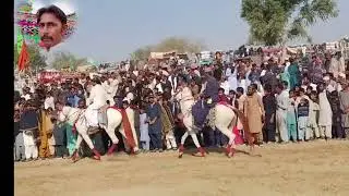 Chache malla