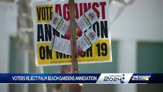 Reaction from Florida's local and presidential primary elections