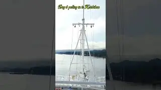 Day 6 of our Southbound Alaska Cruise, pulling in to Ketchikan #alaska #cruise #ketchikan #nature