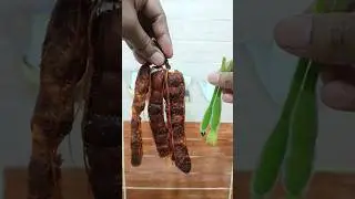 Tamarind (Tetul) Lau Makha 🤤 #shorts​ #food​ #masala​ #youtubeshorts​ #trending​ #viralshort​