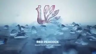 Red Peacock Entertainment intro video । red peacock entertainment । #video #viral #viralvideo #intro