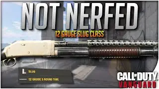 The Insane and Secret Un-Nerfed Combat Shotgun No One Uses in Vanguard (Combat Shotgun Stats)