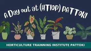 Visit to HORTICULTURE TRAINING INSTITUTE Pattoki    Mr  Abrar Hussain