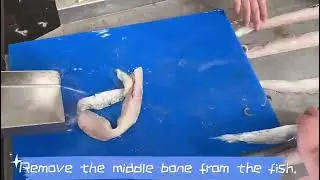Small fish fillet machine