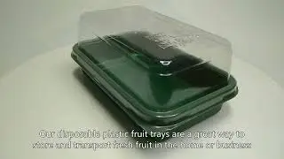 disposable bowl,disposable plastic container,biodegradable clamshell container,Cheap,China Maker