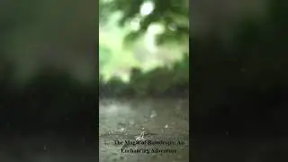 The Magic of Raindrops An Enchanting Adventure