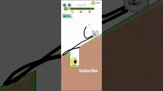 save the cat from honey bee and hole 😎🐈🐝