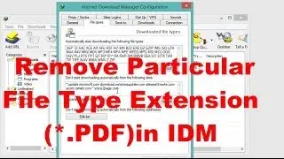 Отключить загрузку файлов определенного типа (*.PDF) в IDM