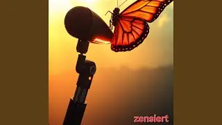 butterfly friend
