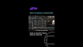 Enable &ldquo;Display Source Track Name&rdquo; in the timeline to view camera or audio recorder metadata