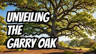 Unveiling The Garry Oak - An Ecosystem In Peril