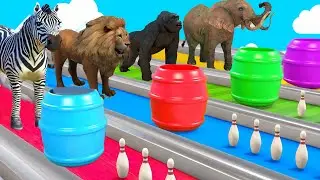 Mammoth Elephant Cow Scary Teacher 3d Dinosaur Gorilla Jump Game Max Level Squeeze