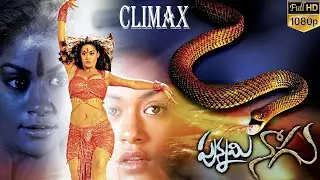 Shocking Climax 🔥 | Mumaith Khan Powerful Revenge Scene | Punnami Nagu