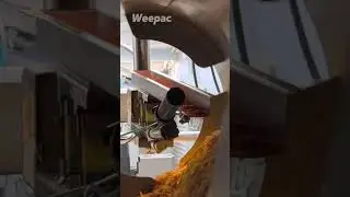Snacks  Potato Chips Conveyor Line Food Conveyor Belt Conveyor Bucket Elevator Fast-back Conveyor