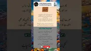 4 Most Inspiring Quotes that will touch  your heart &change the way your life#urduislamicquotes#life