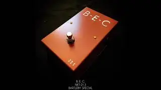 Blackstrap Electrik Co. NKT-213 Bartleby Special. Buzzaround / Dizzy Tone Fuzz pedal.