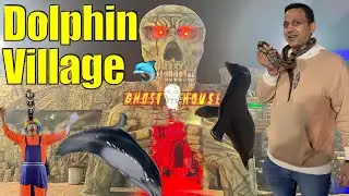 Dolphin village Dammam 2025 | Sealion show | Circus, water park , Ghost House | Dammam Dolphin Show