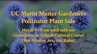 UC Marin Master Gardeners Pollinator Plant Sale 2024