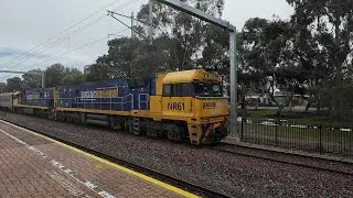NR61 + NR21 #7MP5